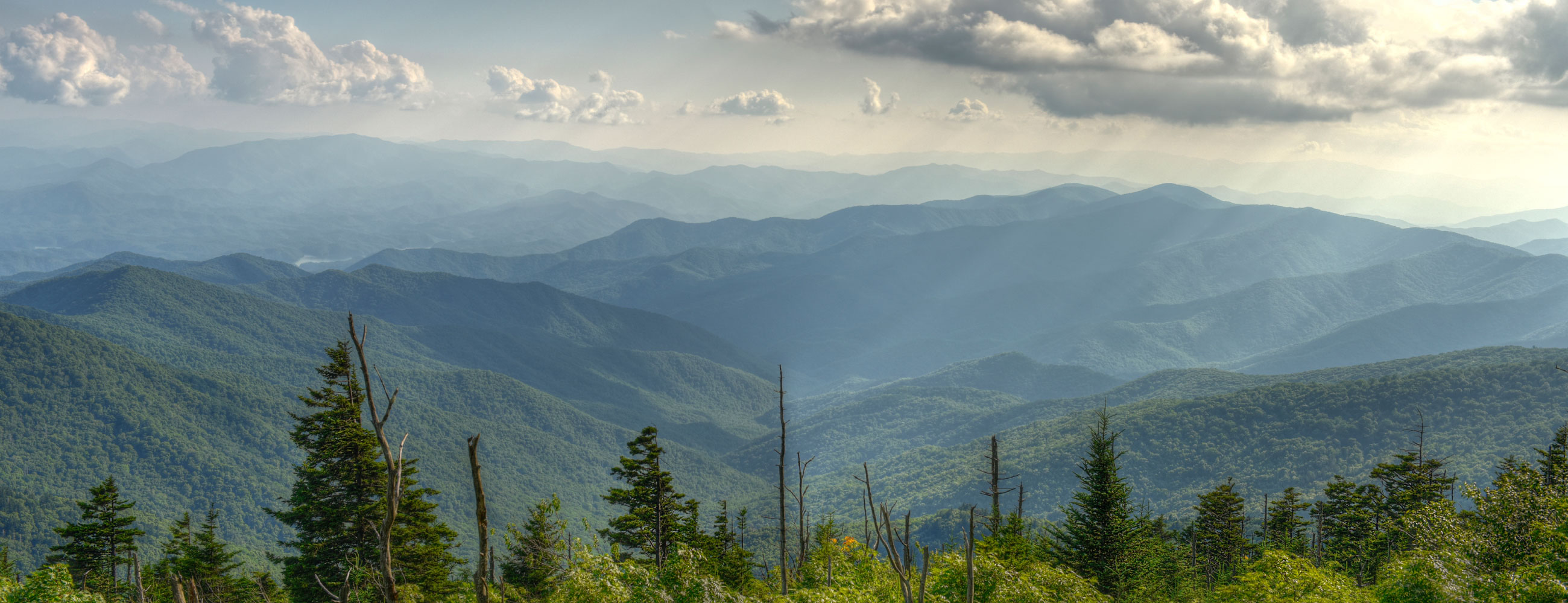 dizzair com dizzair com